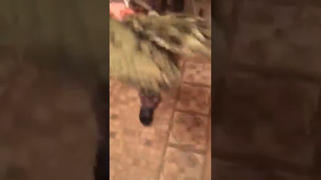 Давидыч с Михалычем В баню смотреть онлайн