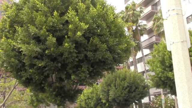 Where Bruce Lee Lived In 1966 смотреть онлайн