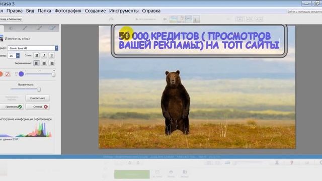 **КАК СДЕЛАТЬ НАДПИСЬ НА КАРТИНКЕ В РЕДАКТОРЕ PICASA** смотреть онлайн