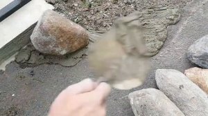 Бордюр из камней для клумбы своими руками | Ландшафтный дизайн