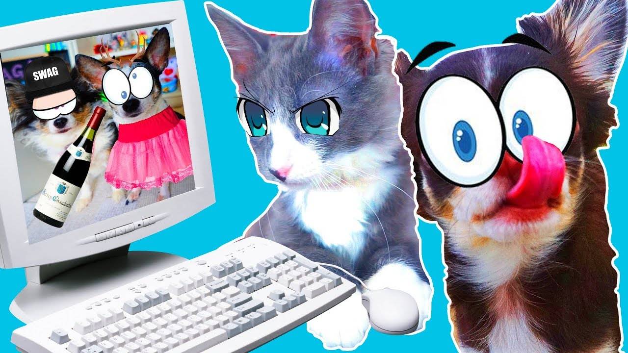 Взломали компьютер папы! Неожиданные видео и тайны дома 🐾 смотреть онлайн