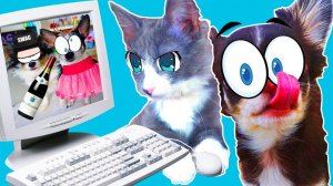 Взломали компьютер папы! Неожиданные видео и тайны дома 🐾