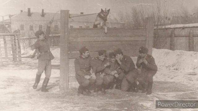 ВВ МВД 1980-2020 смотреть онлайн