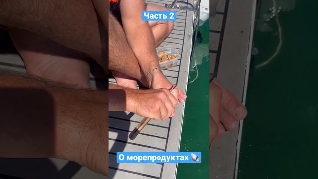 Морепродукты Приморье Корсар #владивосток #отдыхнаморе #2023 #путешествия #trip #тренд #food #море смотреть онлайн