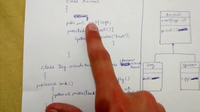 Class diagrams inheritance смотреть онлайн