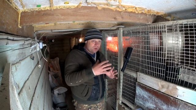 БОЛЬШОЙ ПЕРЕПОЛОХ В КУРЯТНИКЕ!!!! // ЭТОГО НЕ ИЗБЕЖАТЬ!! смотреть онлайн