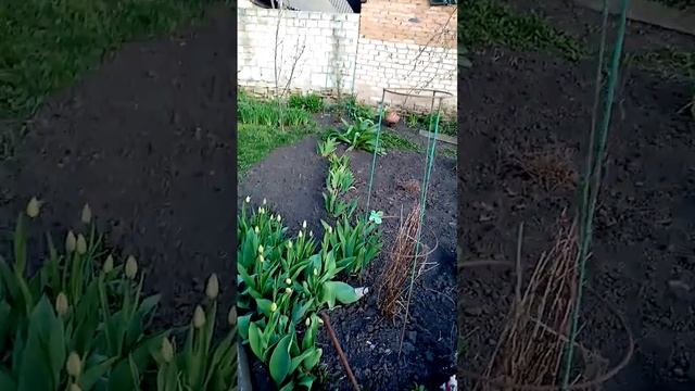 23 апреля 2023 г. смотреть онлайн