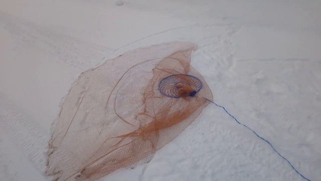 Кастинговая сеть [первая добыча] зимняя тренировка перед летним сезоном смотреть онлайн