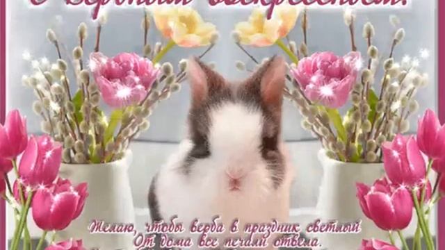 19 мая 2020 г. смотреть онлайн
