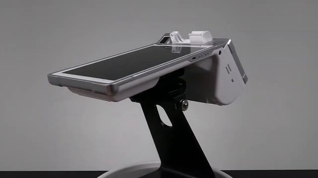 PAX E600 POS Credit Card Terminal Product Spotlight | BNGPayments.net смотреть онлайн