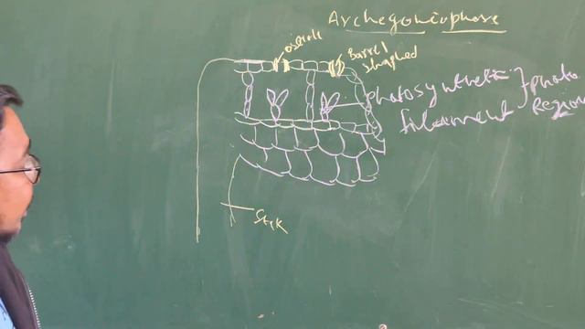 Practical Botany -Marchantia -Ex-3 смотреть онлайн