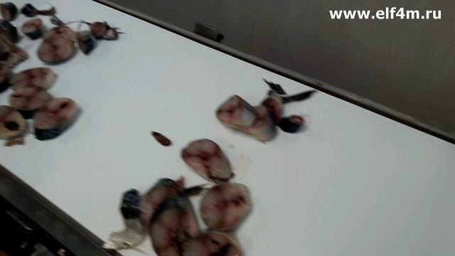 Устройство нарезки рыбы на кусочки (сельдь, скумбрия) ИПКС-074-01-200Ч(Н) смотреть онлайн