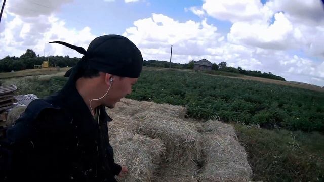 ПРИВЁЗ ПОДДОНЫ // ПЕРЕЛОЖИЛ СЕНО смотреть онлайн