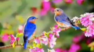 Дар вакти субгохон буи МУХАММАД. (с.а.в) омад