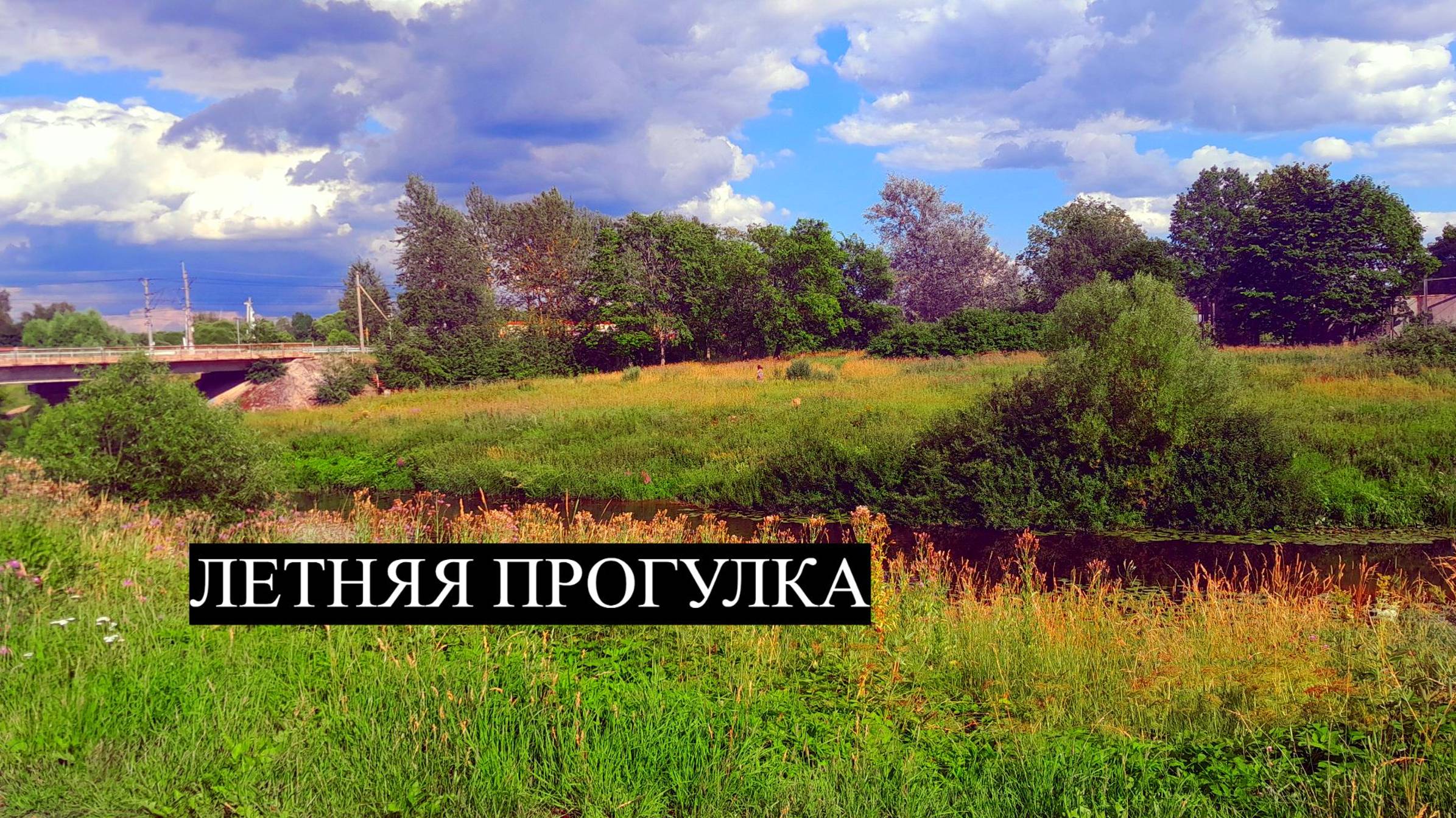 Летник RUTUBE Удивительная природа на прогулке смотреть онлайн