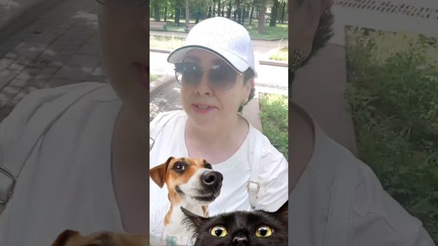 Пытаюсь договориться с кошкой #кошка #овполякова #спасениекошки