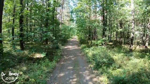 Treadmill Virtual Run 42: Weißwasser, Saxony, Germany смотреть онлайн
