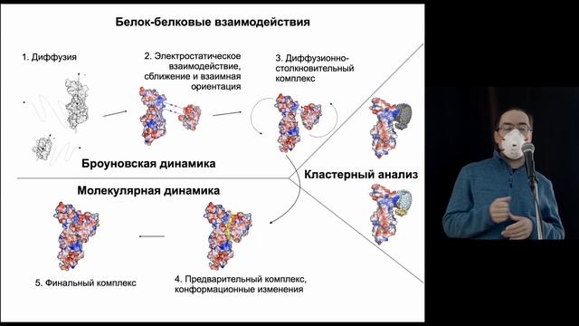Исследованные методами молекулярной динамики механизмов и эволюционных аспектов белок белковых вза смотреть онлайн