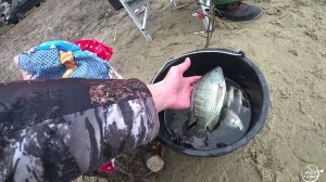 Ловля Тилапии в Воронежской области (15.11.2020)