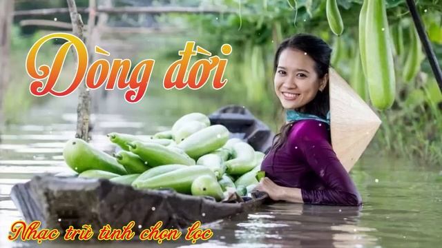 Dòng Đời, Dân Ca Miền Tây - Nhạc Dân Ca Trữ Tình Quê Hương Miền Tây Tuyển Chọn смотреть онлайн