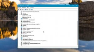 Зависает Мышь или Клавиатура на Windows 11