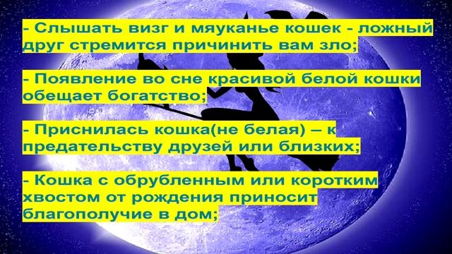 Поверья о кошках смотреть онлайн