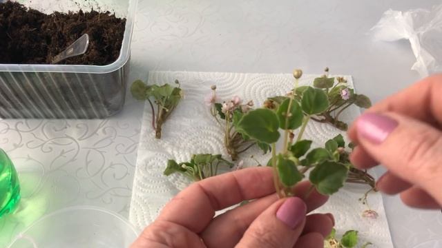 Еще больше новинок смотреть онлайн