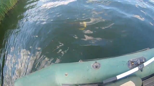 Щука каннибал{полная рыбалка}.Два вечерних выхода.Щука на спиннинг. смотреть онлайн