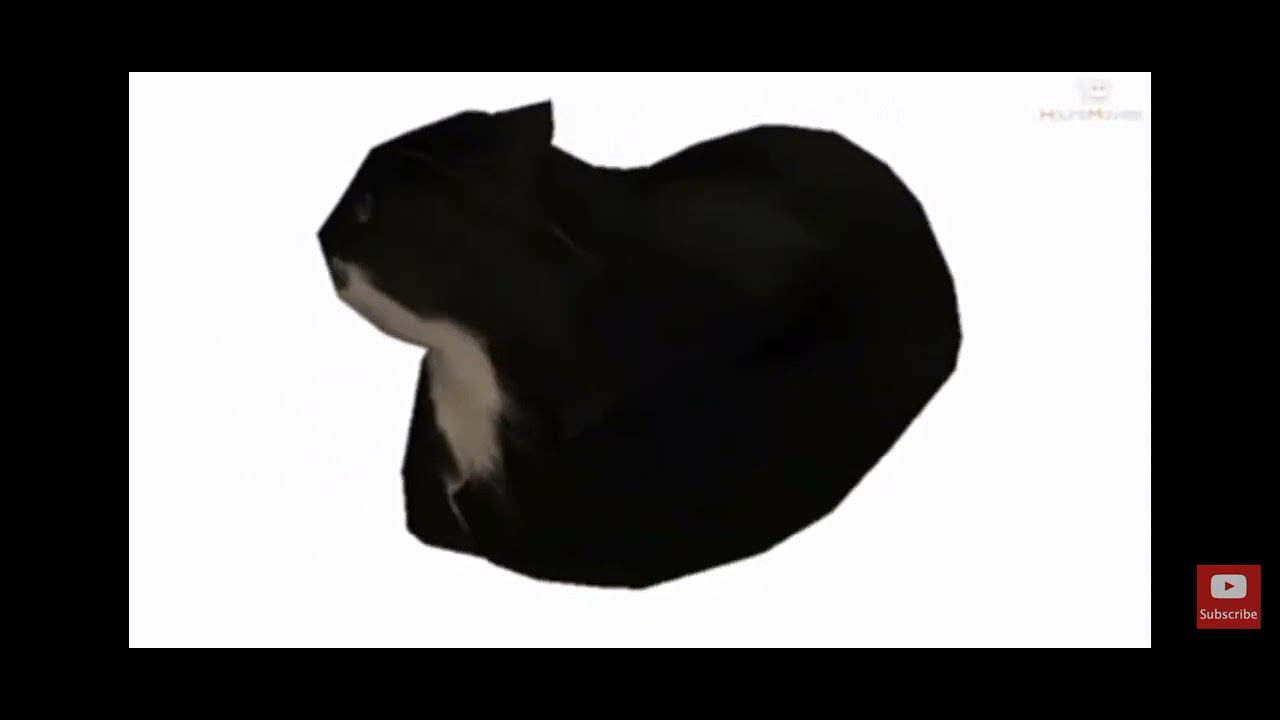 Maxwell The Cat