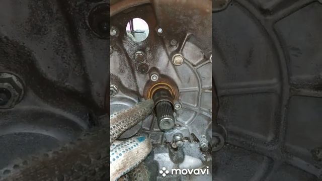 Замена и ремонт Volkswagen Polo