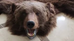 Санаторий "Дугино" Смоленская область. Наш отдых в санатории. Здоровье и как его поддержать.