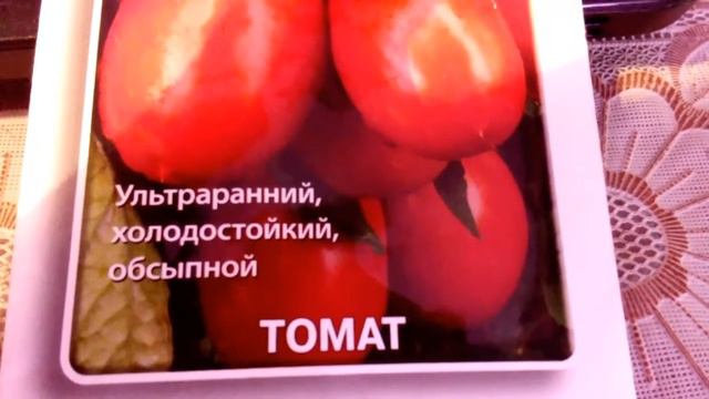 Посев томатов_Сорт томата челнок_Обзор и характеристики сорта смотреть онлайн