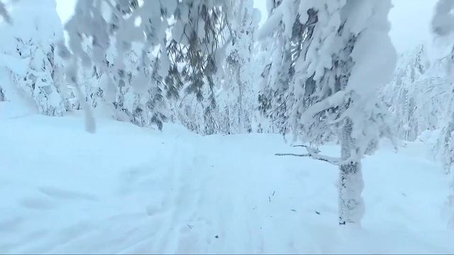 Vuokatti, Finland 2018 смотреть онлайн