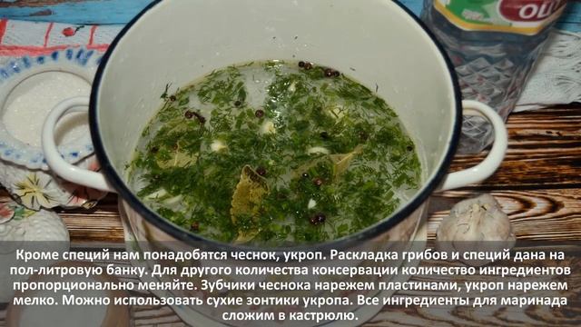 Веганские Ресторанчики и Кафе