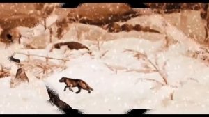 С  Есенин Песнь о собаке читает С. Безруков Родниковская сельская библиотека