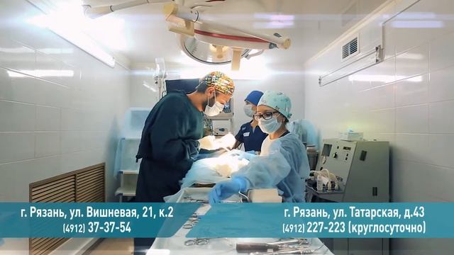Ветеринарная клиника «9 жизней» смотреть онлайн