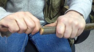 Методы прививки. Урок 3. Прививка в толстую ветвь копулировкой.