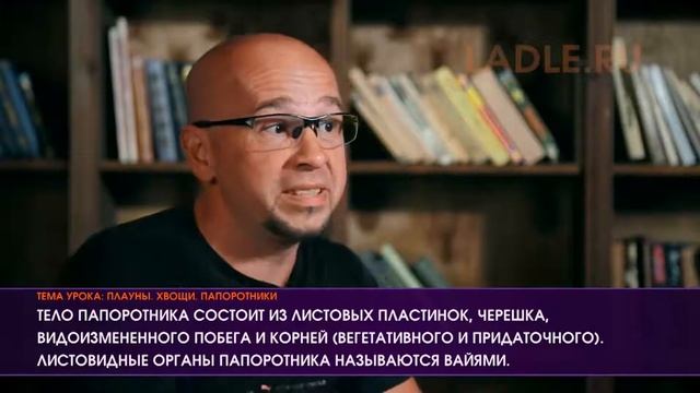 Плауны Хвощи Папоротники. Биология 5 класс. Споровые сосудистые растения.Характеристика Строение ЕГ смотреть онлайн