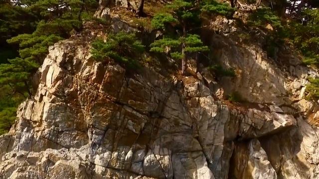 Туристическая Компания "КАМЧАТКА-ТУР" смотреть онлайн