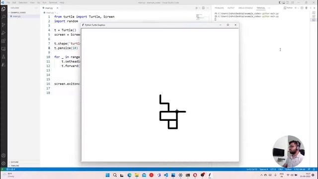 Exercise: Random Walk | Turtle | Python in Hindi смотреть онлайн
