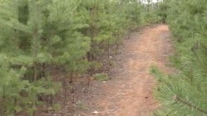 Песня Москвичи.Клип. Слова Е.Винокурова, 1955.