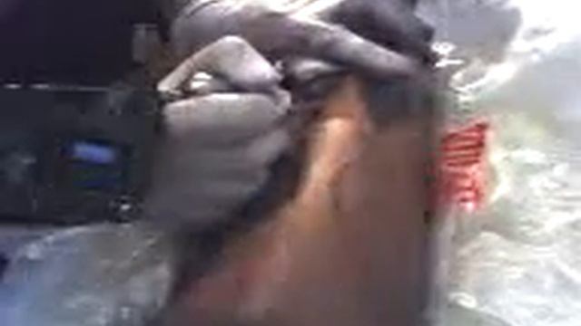 klever смотреть онлайн