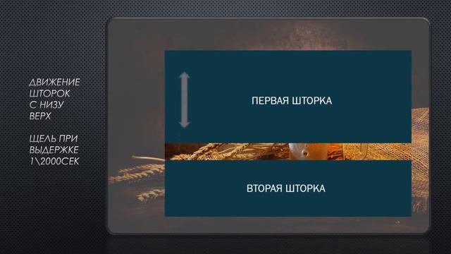 ВЫДЕРЖКА , ЗАТВОР смотреть онлайн