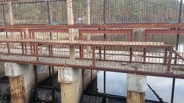 Плотина на Ильинском пруду в деревне Кашино смотреть онлайн