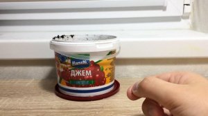 КАК ВЫРАСТИТЬ ИЗ СЕМЕЧЕК ЛЮБОГО ЯБЛОКА - ЯБЛОНИ. ОТ ЯБЛОКА ДО РОСТКА ЗА МЕСЯЦ.