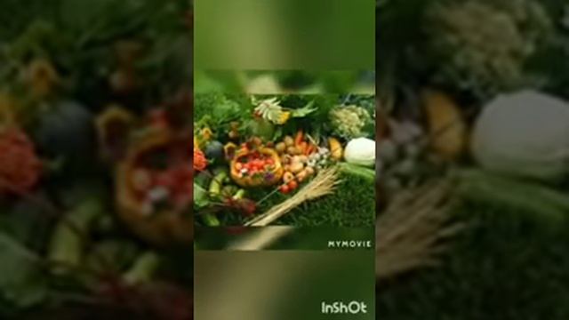 онлайн занятия в детском саду.