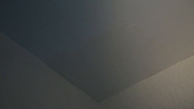 Приемка квартиры в ЖК Приневский | ЦДС | Помощь в приемке квартиры смотреть онлайн