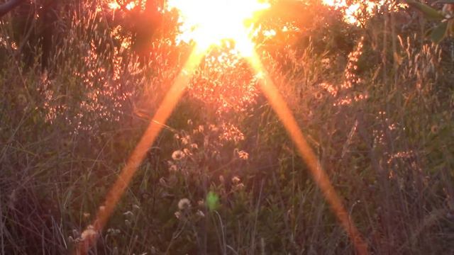 All Heaven Declares Instrumental Cover ~ Christian Music With Nature Scenes ~ Family Music Groups