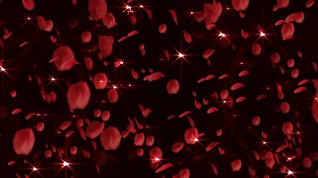 rose petals animation смотреть онлайн