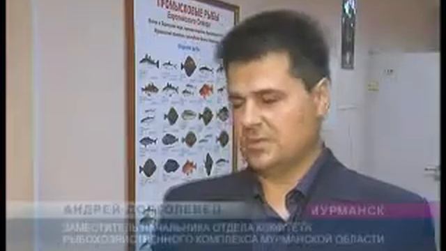 Завершена процедура распределения квот для коренных малочисленных народов севера смотреть онлайн